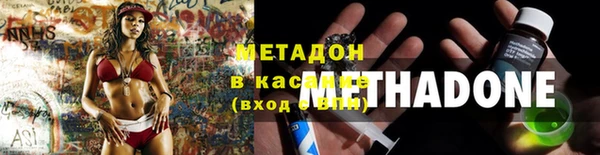 стаф Аркадак