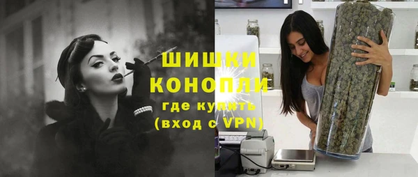 стаф Аркадак