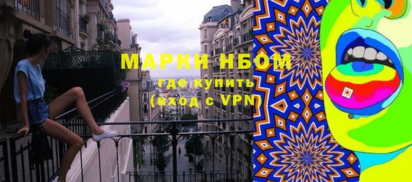 стаф Аркадак