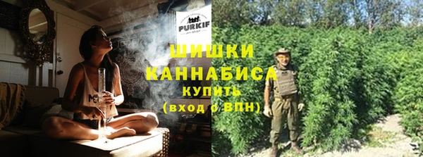 стаф Аркадак
