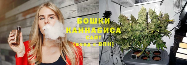 стаф Аркадак