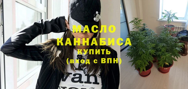 стаф Аркадак