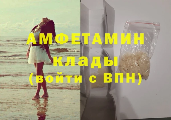 стаф Аркадак
