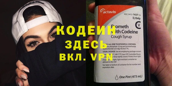 стаф Аркадак