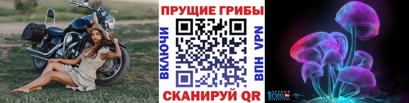 как найти закладки  Белокуриха  Галлюциногенные грибы Psilocybe 